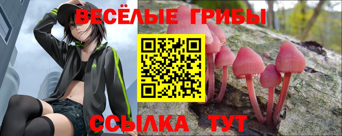 Псилоцибиновые грибы GOLDEN TEACHER  Вход с VPN  Лениногорск 